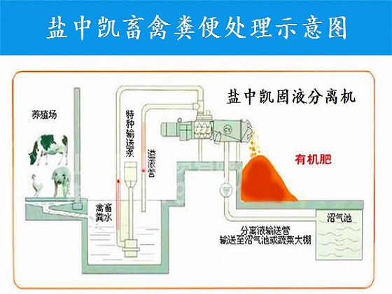 鸡粪脱水机示意图